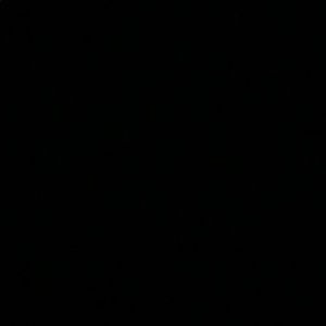 Meet your Posher, Basdeo